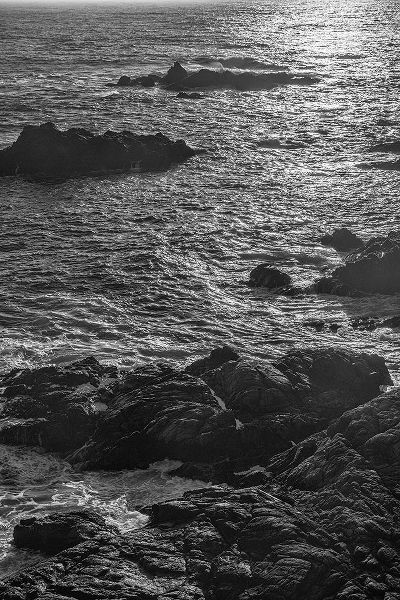 Ford, John 아티스트의 China Cove-Point Lobos-California작품입니다.